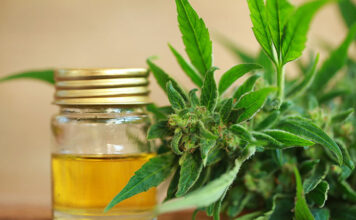 Czy warto używać produktów z konopi? CBD