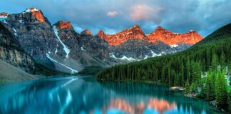 Czy można usuwać kamień nazębny w aparacie?