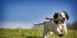 Jak odzyskać dobry wzrok?