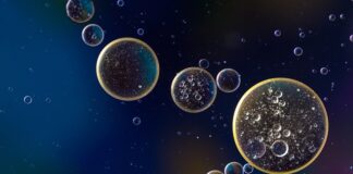 Czy można smażyć na oleju z awokado?