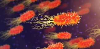 Jak szybko wzmocnić organizm?