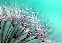 Jakie krople na stan zapalny oka?