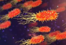 Po czym poznać że organizm jest zakwaszony?