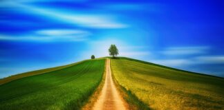 Czy chodzenie w płaskich butach jest zdrowe?