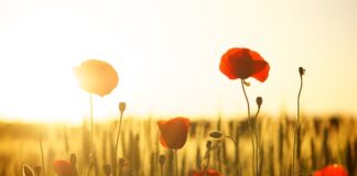 Czy pole dance to cardio?