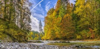 Co polecacie na przebarwienia?