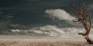 Jak sprawdzić czy ściana jest sucha?