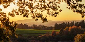 Jak się opalać na brązowo?