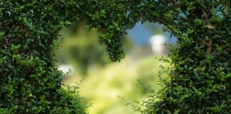 Jaki kształt oprawek do okrągłej twarzy?