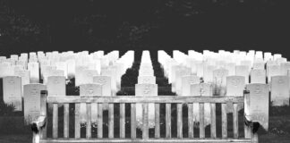 Jakim kremem kremować włosy?