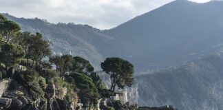 Ile kosztuje wymiana oprawek?