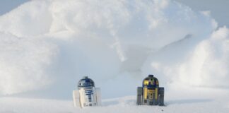 Ile powinno wynosić PPD?