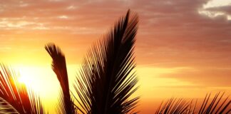 Co na stan zapalny powiek?