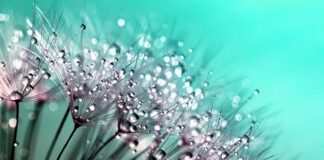 Jakie krople do oczu na stan zapalny?