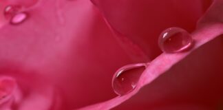 Jak sprawdzić wilgotność powietrza w domu?