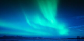 Który olej jest naprawdę syntetyczny?